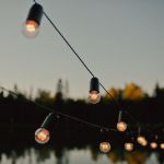 Аренда Ретро гирлянды для помещения 10м + 20 Led ламп