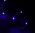 Гирлянда Роса 5м 50Led на батарейках CR2032